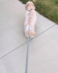 Boomer Dog Leash