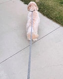 Boomer Dog Leash