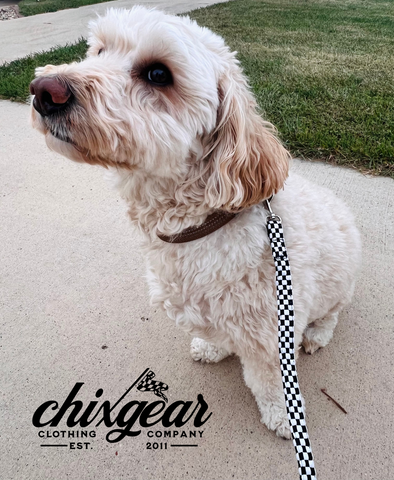 Boomer Dog Leash